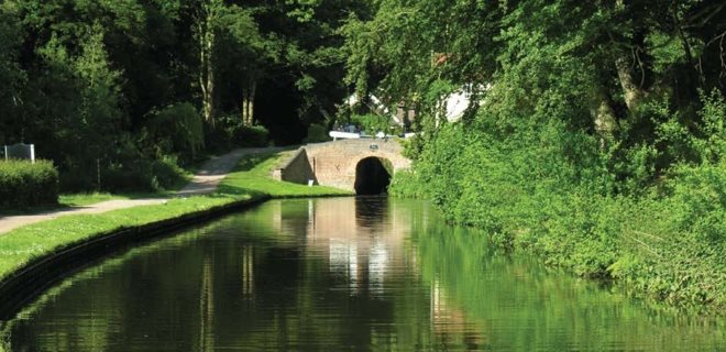 Canal Bridge Amid Luscious Greenery